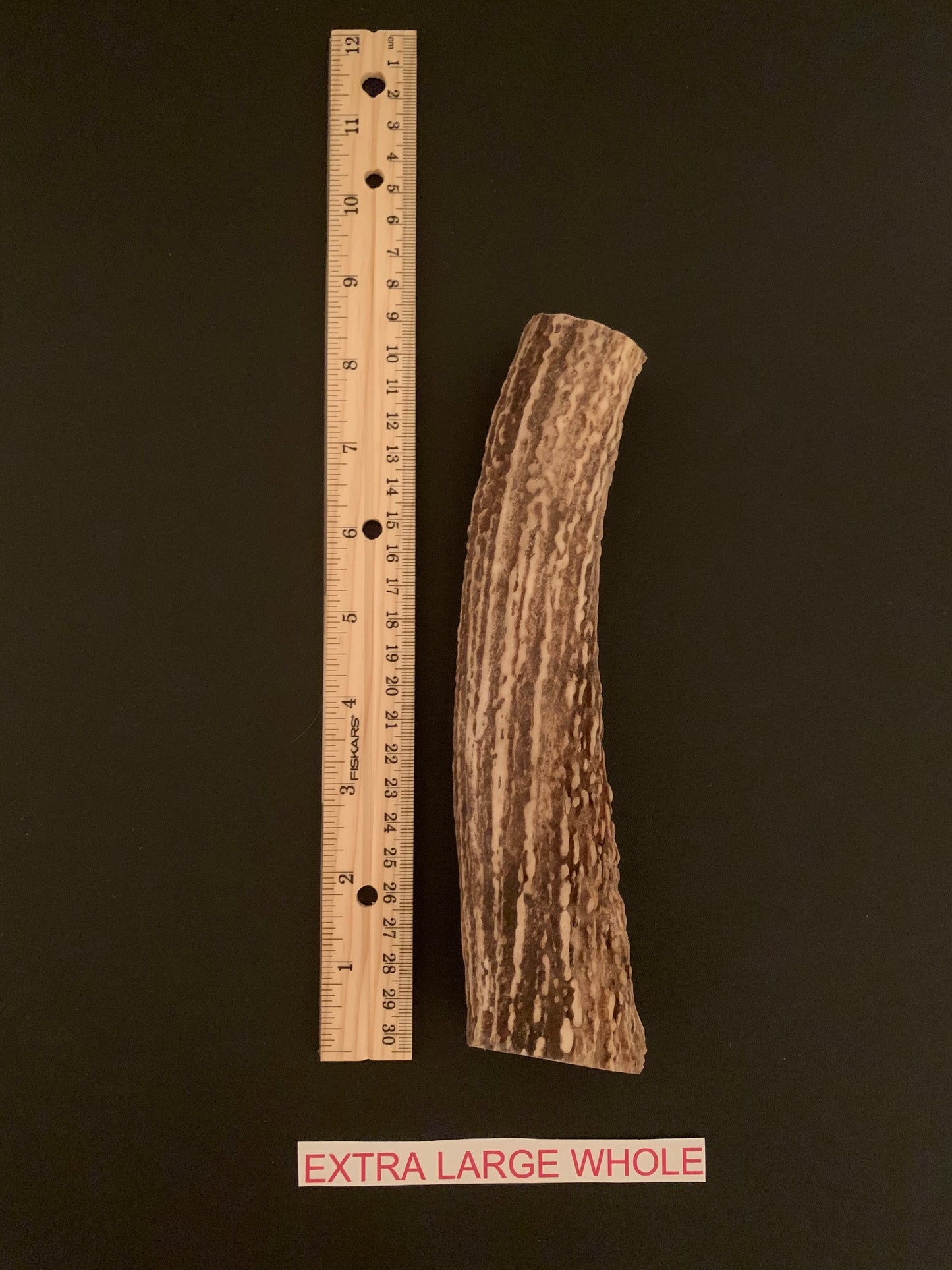 XLarge Whole Antler Dog Chew