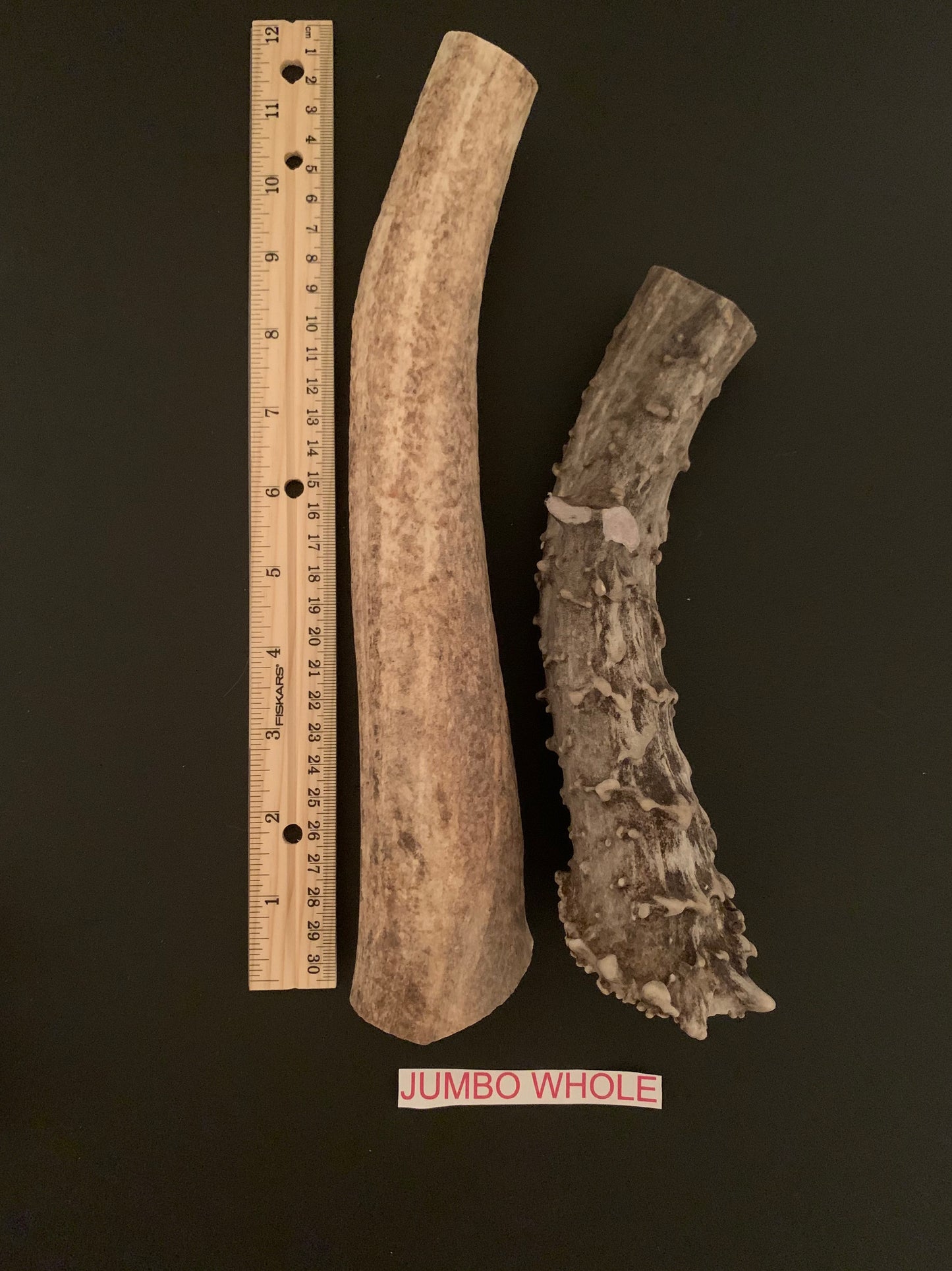 Jumbo Whole Antler Dog Chew