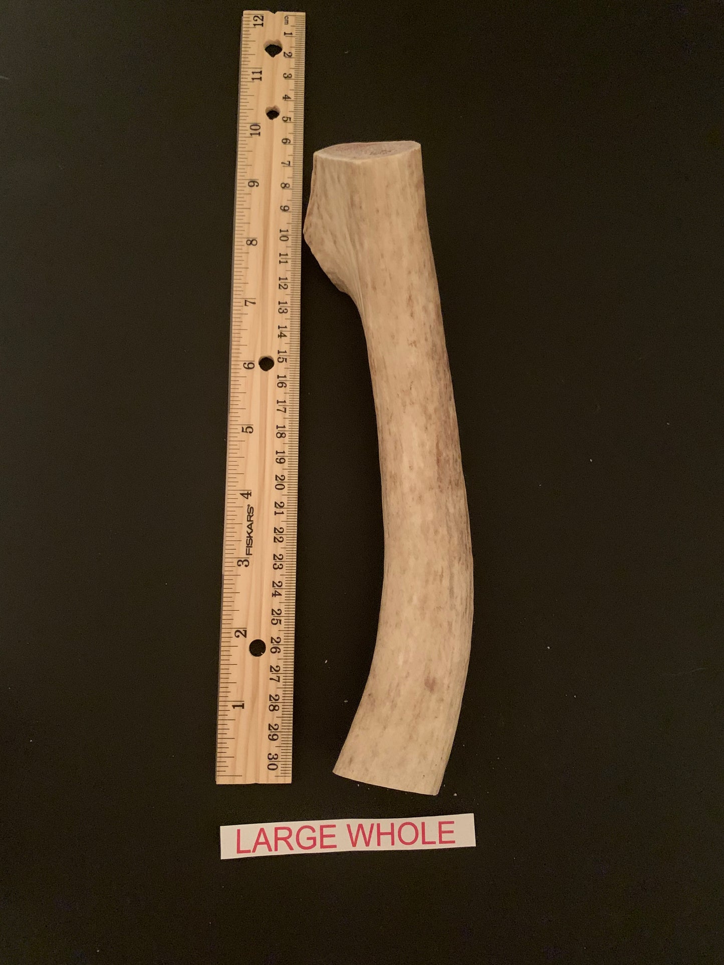 Large Whole Antler Dog Chew
